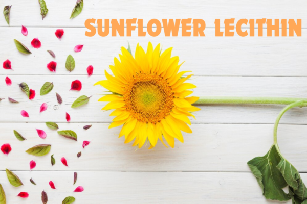 sunflower lecithin