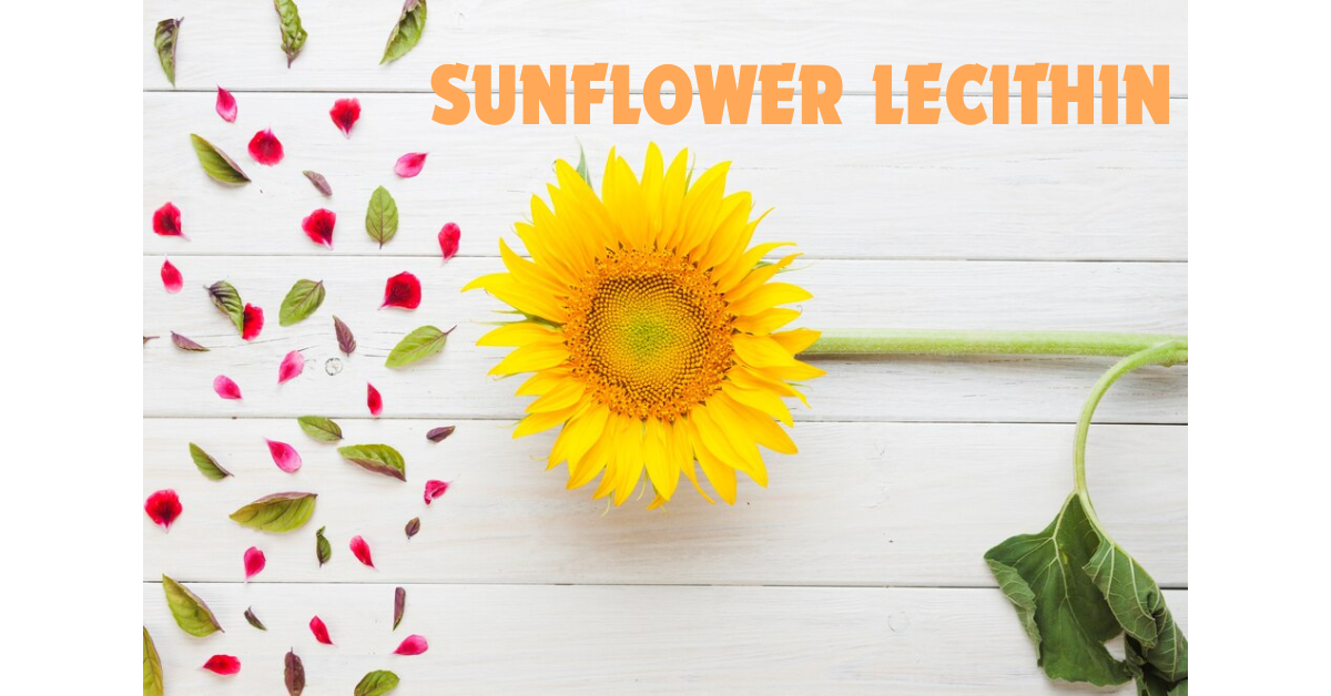 sunflower lecithin