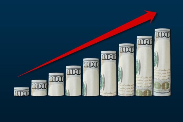 Pulmonx Revenues Over Last 10 Years