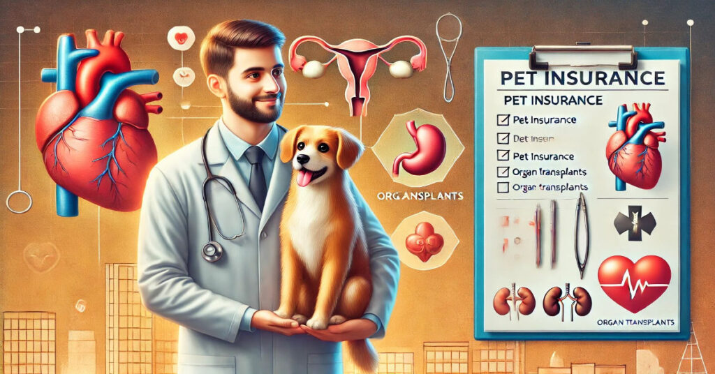 What Pet Insurance Covers Organ Transplant