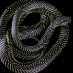 Calamariere