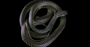 Calamariere