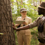 Forestry Development Authority
