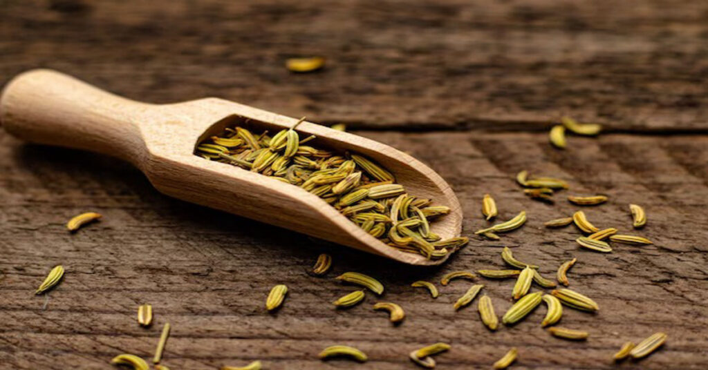 Fennel Seeds