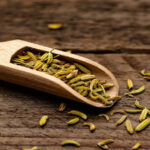 Fennel Seeds