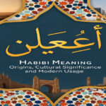 Habibi Meaning
