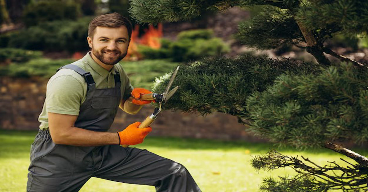 Professional