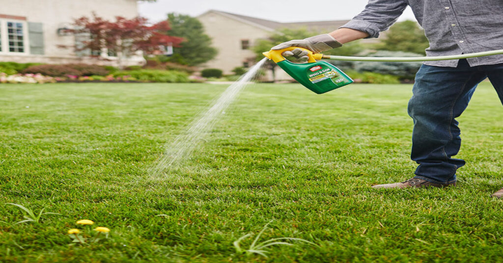 Spruce Weed Killer