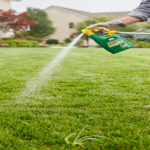 Spruce Weed Killer