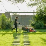 Artificial Lawn Maintenance