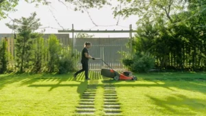 Artificial Lawn Maintenance