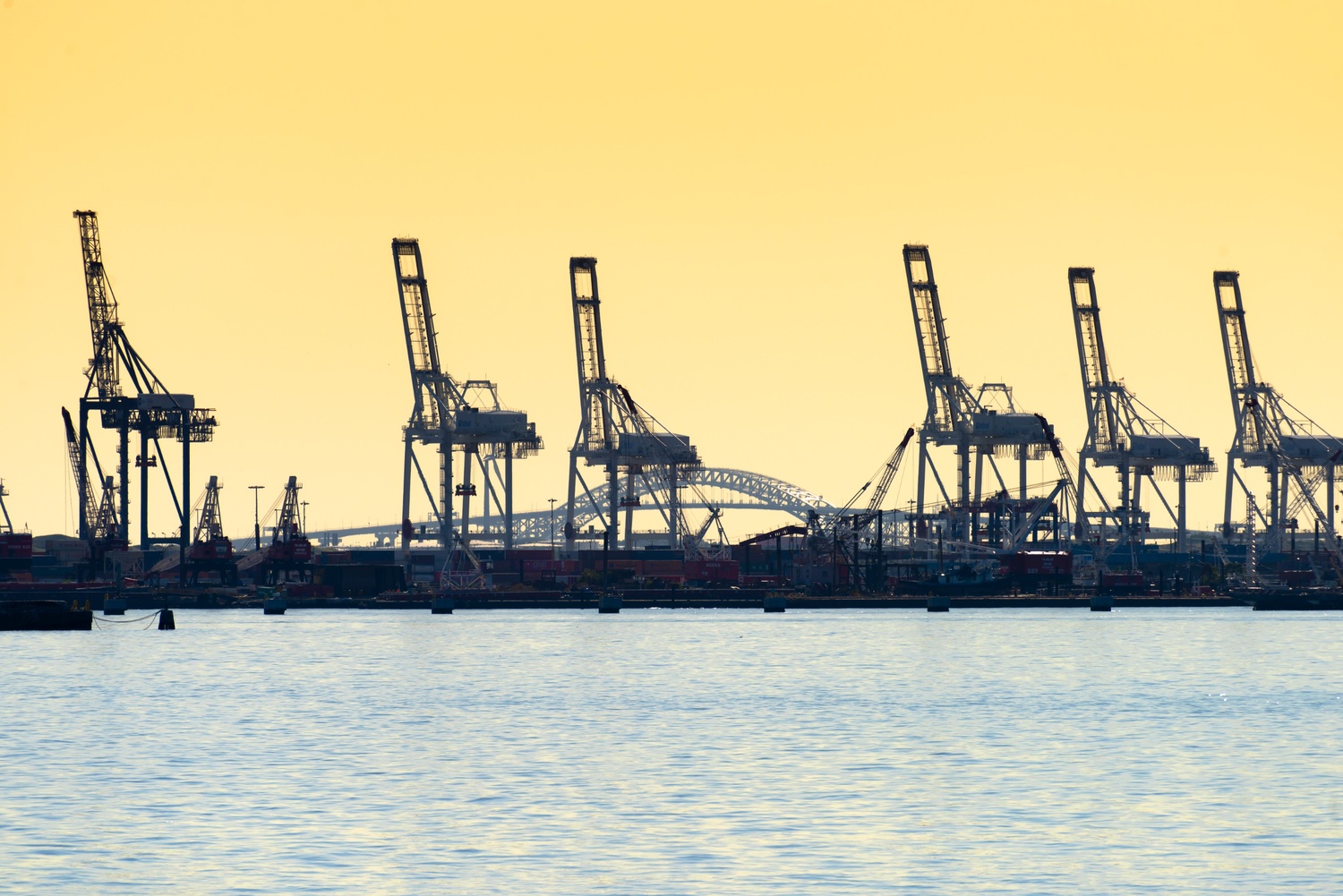 Florida Petroleum Council