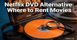 Netflix DVD Alternative