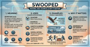 Swooped: Meaning, Uses, Examples, and Why the Word Matters